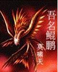 吾名鲲鹏