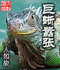 巨蜥嚣张