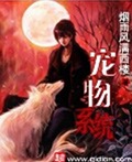 宠物系统
