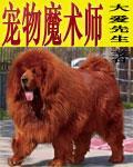 宠物魔术师