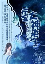 元宝!大神来了!