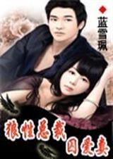 狼性总裁囚爱妻(全)