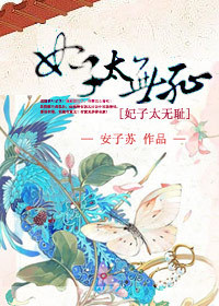 妃子太无耻