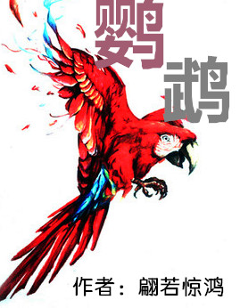 鹦鹉(完结)