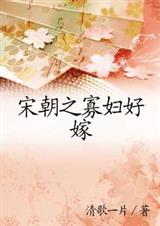 宋朝之寡妇好嫁