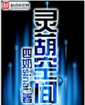 灵葫空间