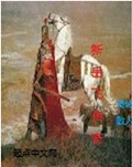 新岳飞传奇