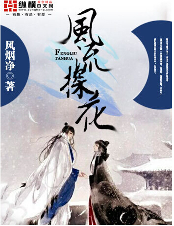 风流探花