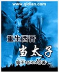 重生西晋当太子