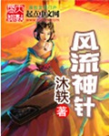 风流神针