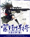 官场悍将