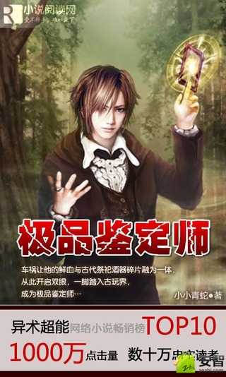 极品鉴定师(全文阅读)