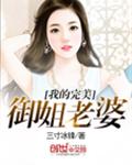 我的完美御姐老婆