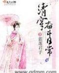 清穿奋斗日常