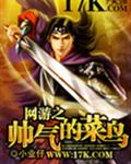 网游之帅气的菜鸟