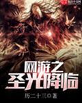 网游之圣光降临