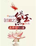 红楼之黛玉